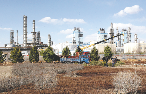 森林派对游戏平台主视觉